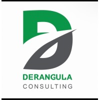 Derangula Consulting Inc logo - Similar company to Analytics Hub