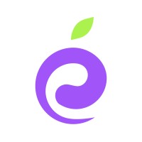RippleBerry Tech logo - Similar company to Technofies