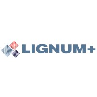 LIGNUM PLUS SL logo - Similar company to Group Indica
