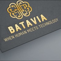 Batavia Strategy Group logo - Similar company to Victoria Leads Development