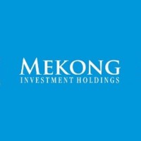 Mekong Investment Holdings logo - Similar company to Fiverse