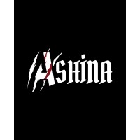 ASHİNA ROBOTİCS#10576 logo - Similar company to Idea Universal