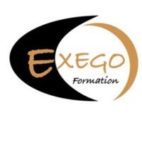 EXEGO logo - Similar company to S-Team Formations