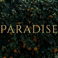 Paradise logo - Similar company to The Social Proxy