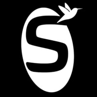 SpaceCord logo - Similar company to Pixelbug Nit Trichy