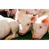 SCEA du Mont aux Roux logo - Similar company to Socopal Immo