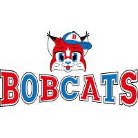 Bobcats APS ASD logo - Similar company to Kidssport