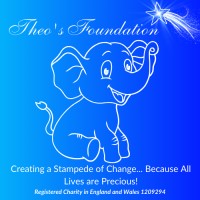 Theo's Foundation logo - Similar company to Predict
