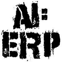 AI:ERP logo - Similar company to Winrox