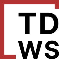 TD web solutions logo - Similar company to Intellisynaptics Software Development