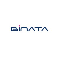 Binata logo - Similar company to Microsteer