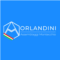 ORLANDINI ASSEMBLAGGI MONTECCHIO EMILIA logo - Similar company to Newmed Srl