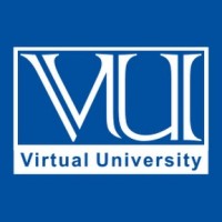 Virtual University logo - Similar company to Virtual University Of Pakistan