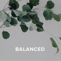 Balanced Speech Therapy logo - Similar company to Speachy Learning Center