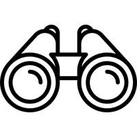 Vehicle Vision Advisory Services