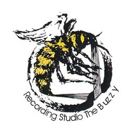 Recording Studio logo - Similar company to The Online Recording Studio