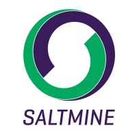 Saltmine Trust logo - Similar company to Efs – En Missionsrörelse I Svenska Kyrkan