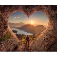 Tickets 2 Paradise logo - Similar company to Curbnturf