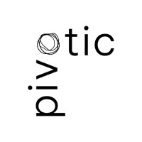 Pivotic Consulting logo - Similar company to Vector Software Ltd