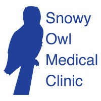 Snowy Owl Medical Clinic logo - Similar company to Owl Hearing Clinic