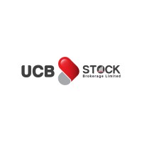 UCB Stock Brokerage Limited logo - Similar company to Bini