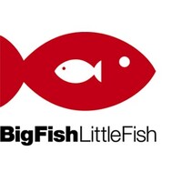 Big Fish Little Fish Recruitment logo - Similar company to Roda Telecom