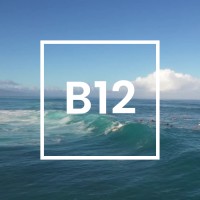 B12 logo - Similar company to Easy Plants, Llc