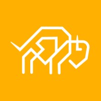 Bizont logo - Similar company to Aos Partners