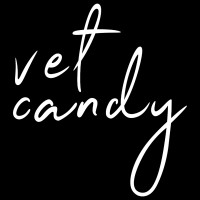 Vet Candy  –  Veterinary Lifestyle & News logo - Similar company to Theseoeffect