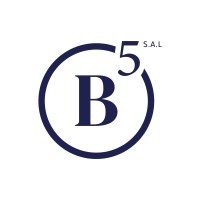 B.Five Consulting logo - Similar company to Ecoswitch Coalition
