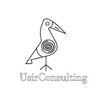UsirConsulting logo - Similar company to Skill Hub Consulting