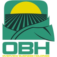 Overview Business Holdings, LLC logo - Similar company to Aimhighr