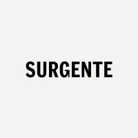 Surgente Estudio logo - Similar company to Bootes