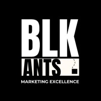 BLK ANTS logo - Similar company to Belevari Electric Vehicles