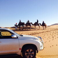 Fez tours - Morocco Tours & Excursions logo - Similar company to Axxonsoft Morocco