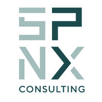 SPNX Consulting logo - Similar company to Prkumar & Co
