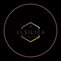 VLSILICA logo - Similar company to Expert Hdl & Chip Design
