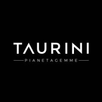 TAURINI logo - Similar company to Topstartups