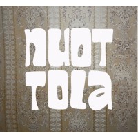 Nuottola Oy logo - Similar company to Morrowx