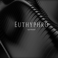 Euthyphro Research logo - Similar company to Financial Canvas