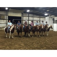 Williamson Land and Cattle