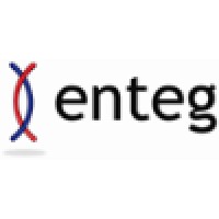 Enteg logo - Similar company to Sch Infotech