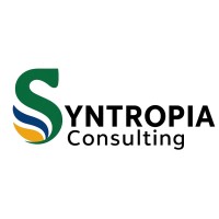 Syntropia Consulting logo - Similar company to Kuamviq