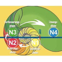 Der Nautilus Code logo - Similar company to Integral Somatic Psychology