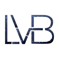 LV business logo - Similar company to Network Solution