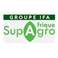 GROUPE IFA logo - Similar company to Supagro Afrique (Groupe Ifa)