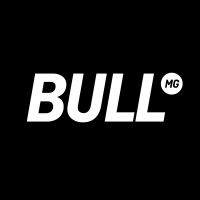Bull Media Group logo - Similar company to Bullmedia