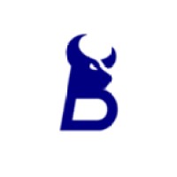 BSONtrading logo - Similar company to Sapio Ssi