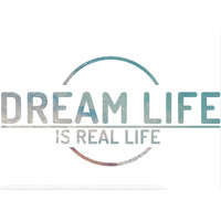 Dream Life Consulting logo - Similar company to Faros Institut