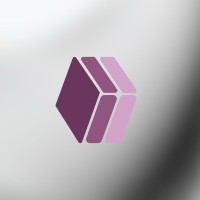 Olap Digital Solutions llc logo - Similar company to Vidit